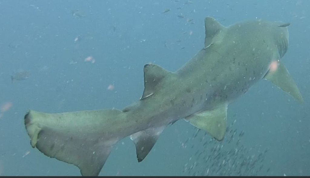 478e5170-127d-405a-af09-f73722252486