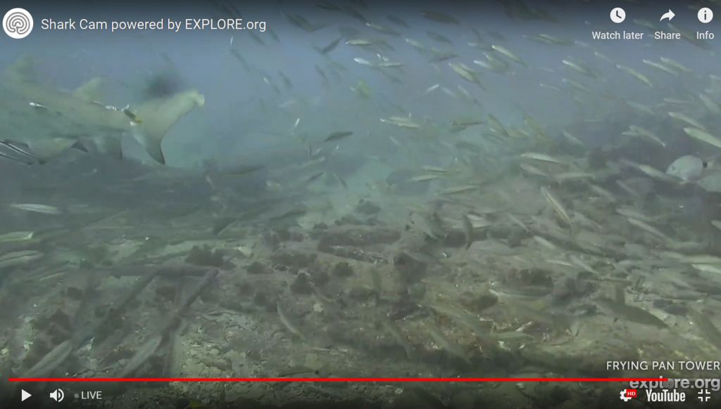 9d2fd088-8f68-415c-af86-95a68ef4ae09