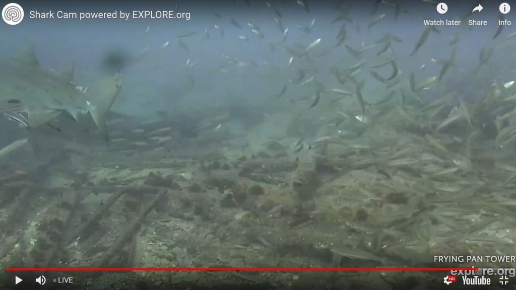 9d2fd088-8f68-415c-af86-95a68ef4ae09