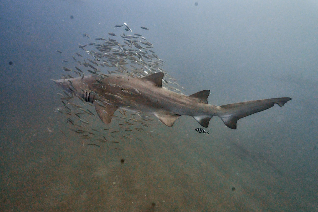 3fe66c3b-be52-4edf-9532-9e45ed2be2bd