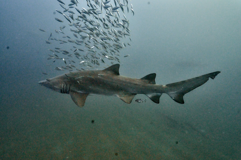 3fe66c3b-be52-4edf-9532-9e45ed2be2bd