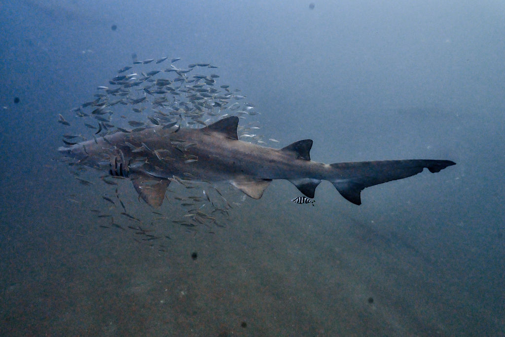 3fe66c3b-be52-4edf-9532-9e45ed2be2bd