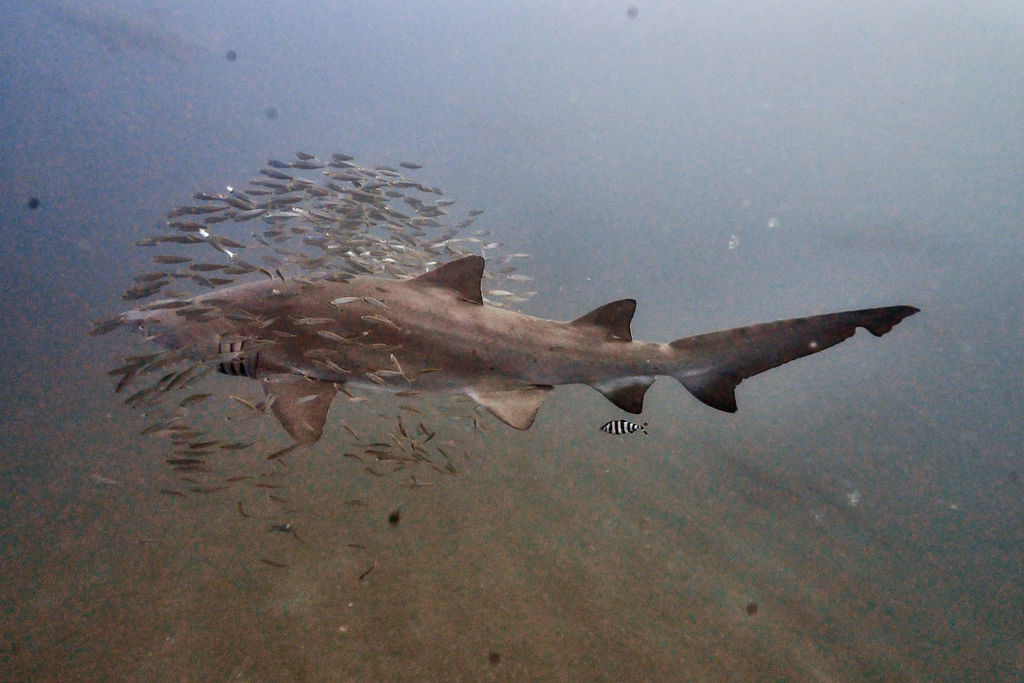 3fe66c3b-be52-4edf-9532-9e45ed2be2bd