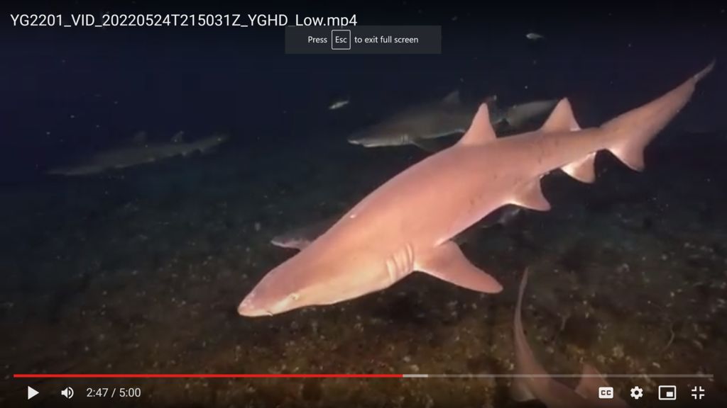 3126cecc-8c88-429d-b6d3-889cbdbb937a