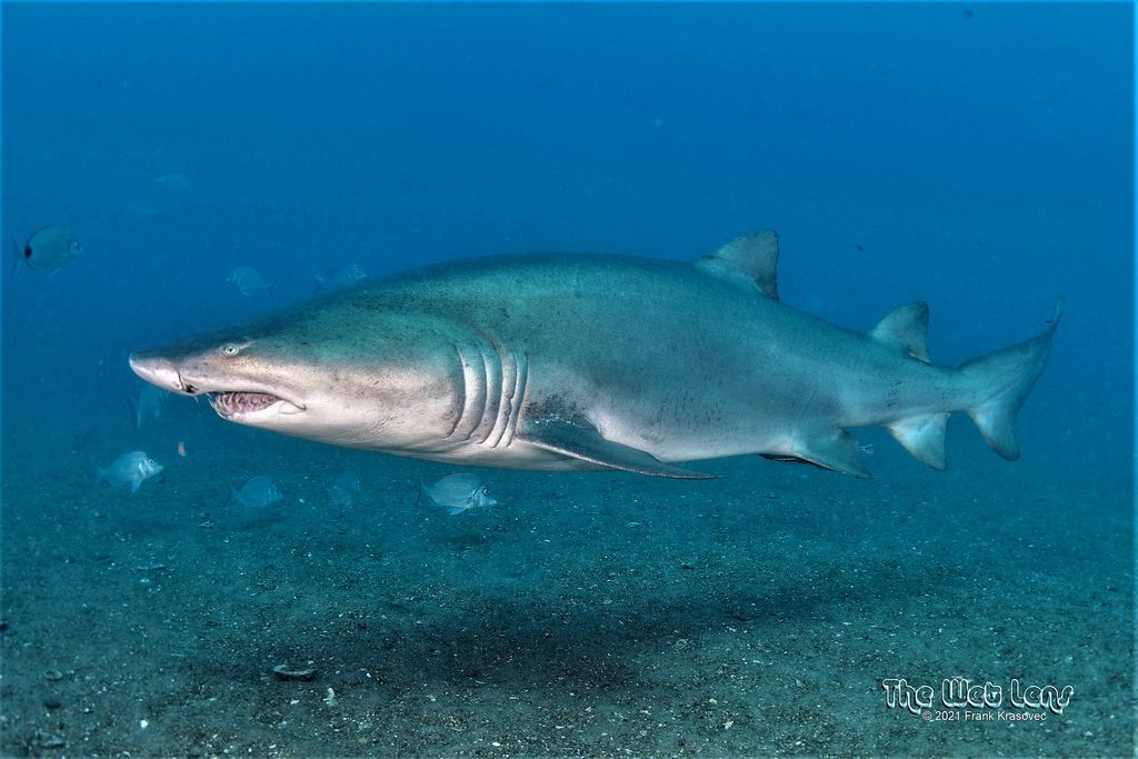 08bc5bcc-ffac-4c66-941e-1db1082d9ae5