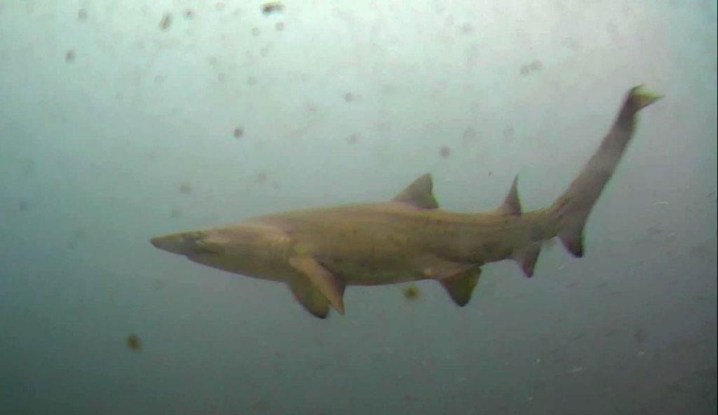 c871ff20-ef84-4fc9-a1e3-9adaf2e63f4b