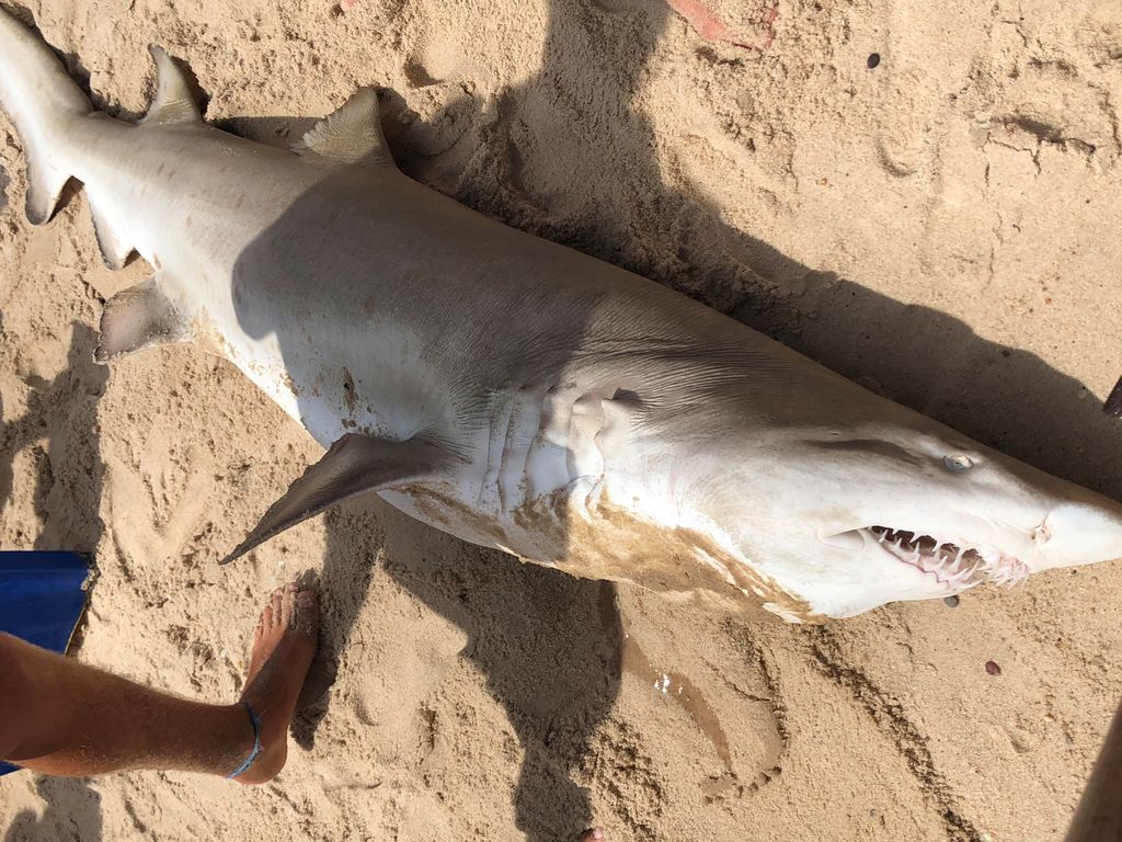 61c201a1-b7c4-4b44-b569-00317df278dc