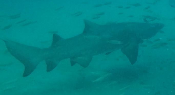 7e314f8e-0eb1-4883-beba-a5d484d808e2