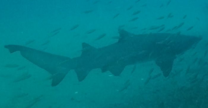 7e314f8e-0eb1-4883-beba-a5d484d808e2