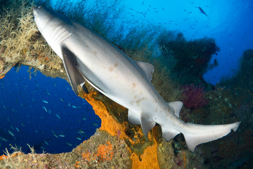 806897f1-b51b-4378-9ad6-4be295f60887