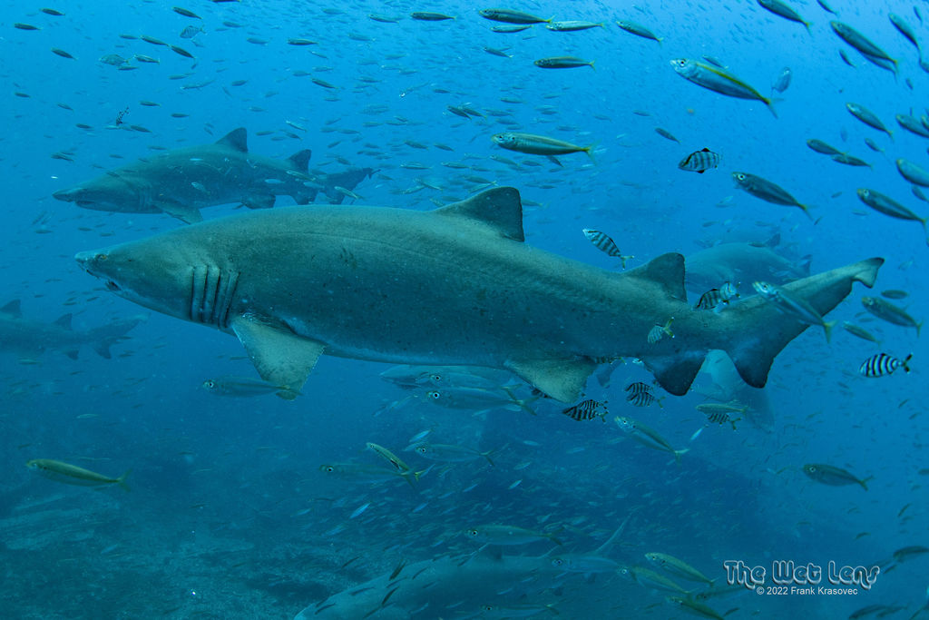 438650da-7732-4de9-8340-68a0037cf004