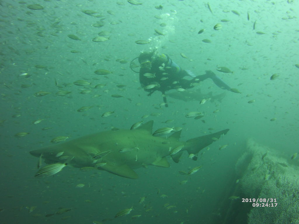 443b4e4e-25e2-4dda-8ec7-0774976c6eb7