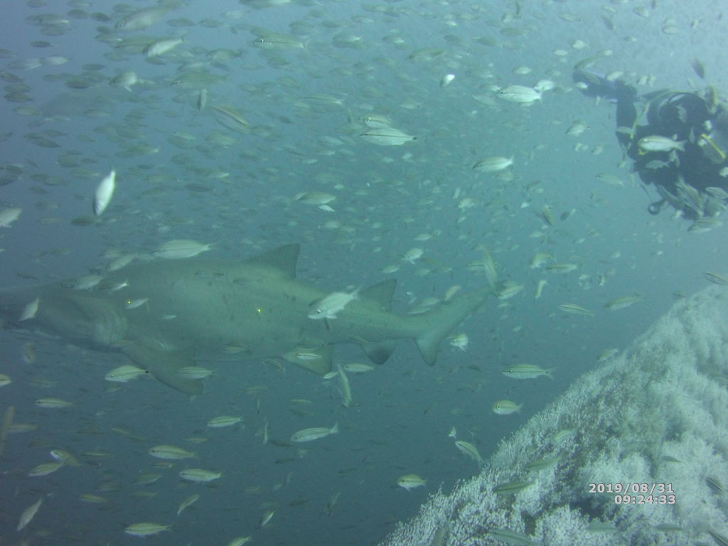 443b4e4e-25e2-4dda-8ec7-0774976c6eb7