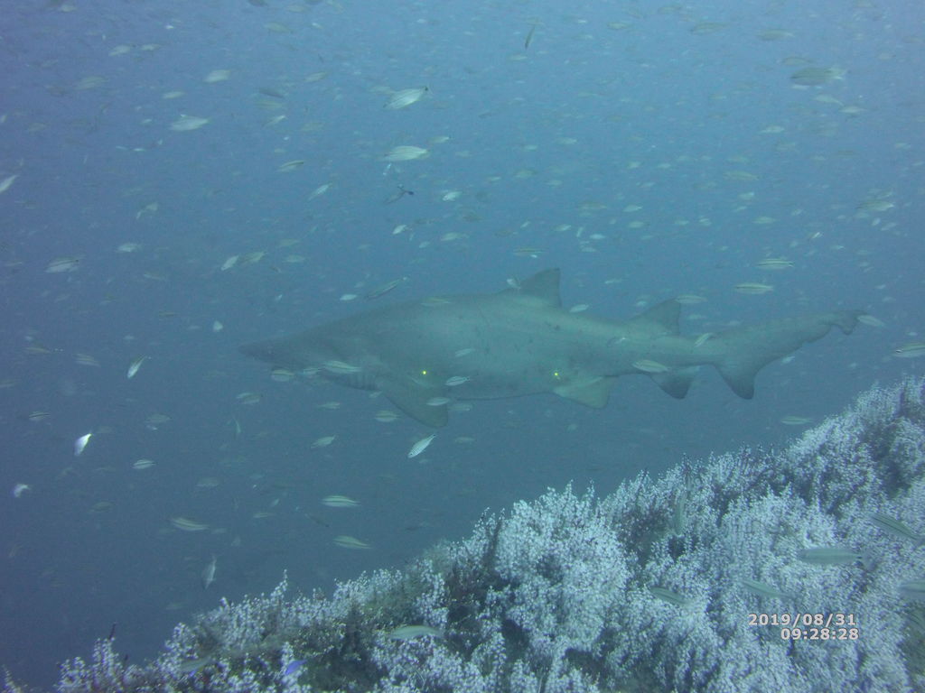 443b4e4e-25e2-4dda-8ec7-0774976c6eb7