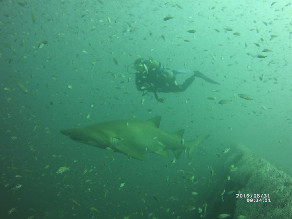 443b4e4e-25e2-4dda-8ec7-0774976c6eb7