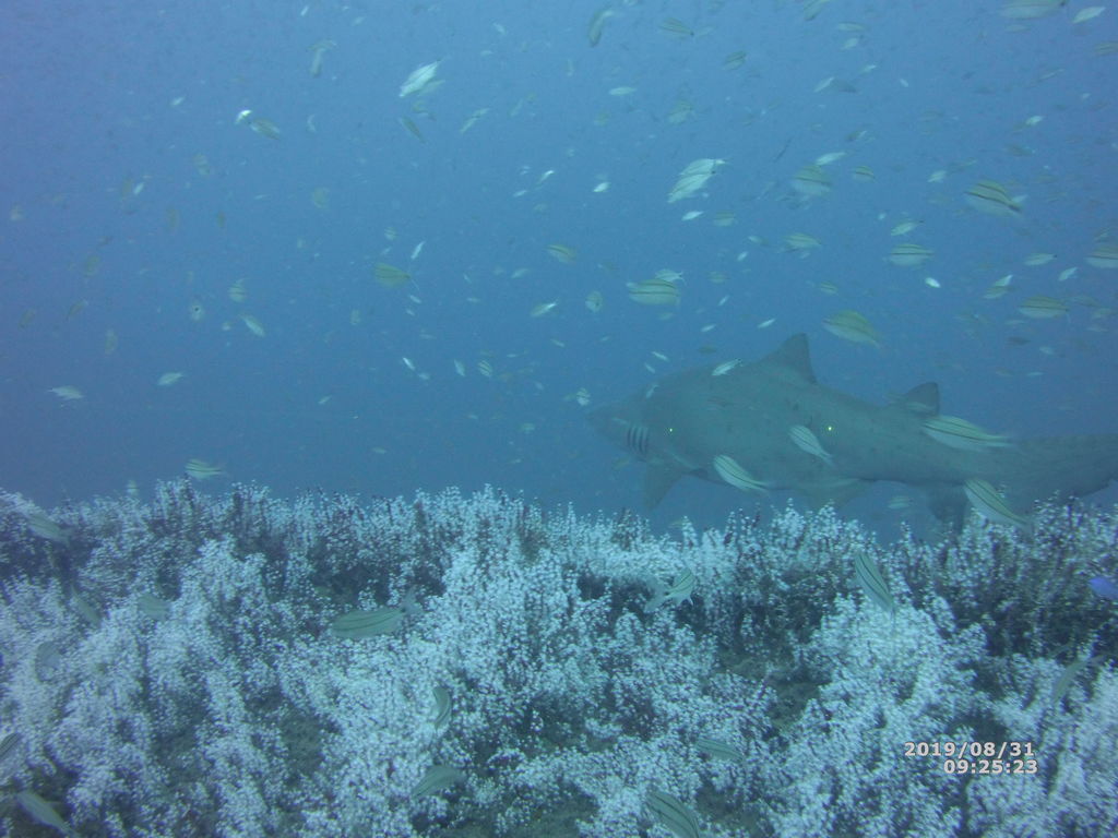 443b4e4e-25e2-4dda-8ec7-0774976c6eb7