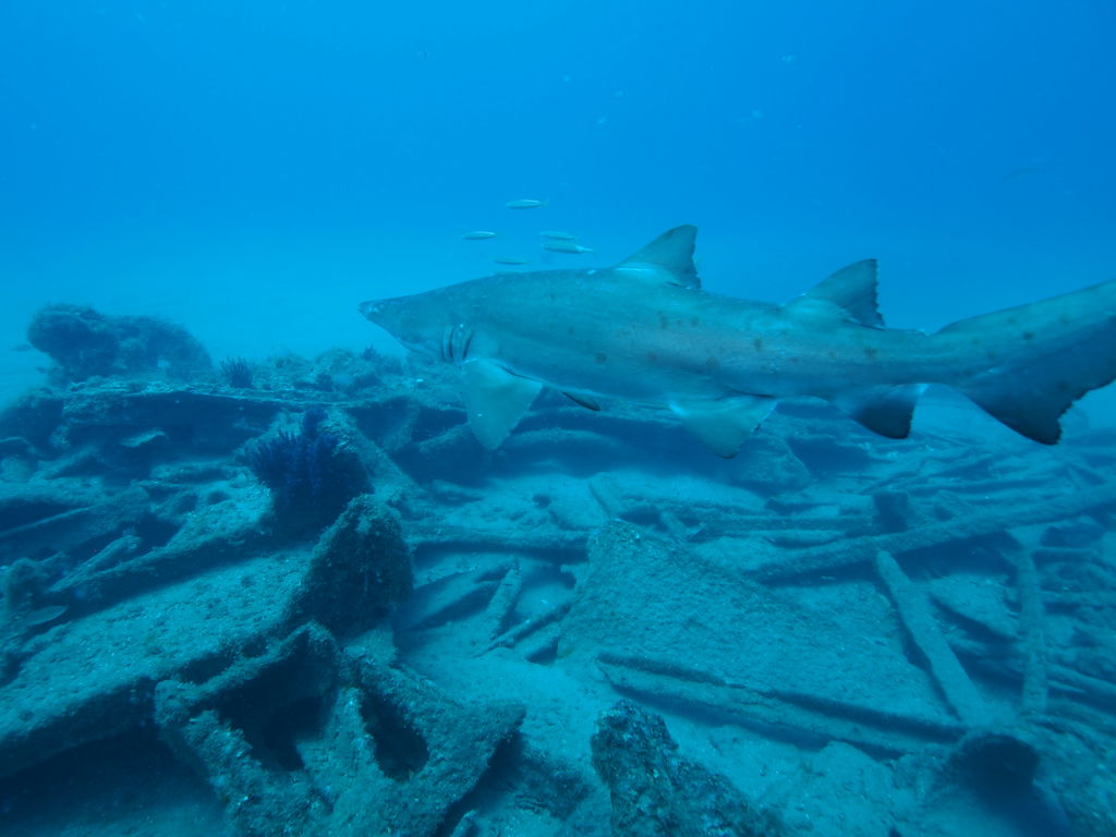 3b5c3f09-e395-49d6-a427-fba4791f09bd