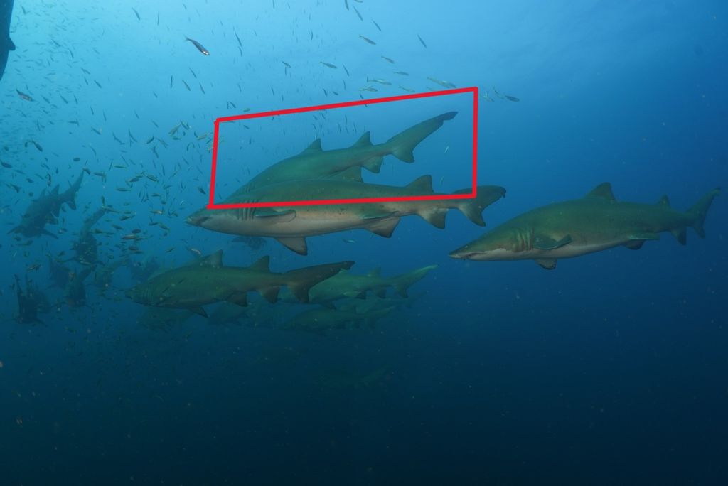 e66caf86-cdb7-459e-a9e1-70c0a5caad94