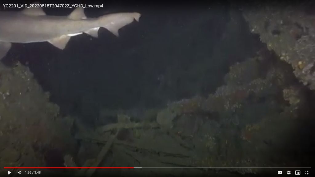 7923c73a-3e44-49b4-ab7b-47675b1c5753