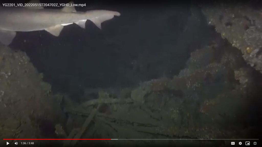 7923c73a-3e44-49b4-ab7b-47675b1c5753