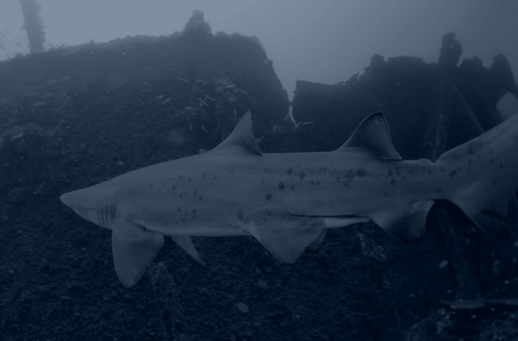 412239ed-7b91-4bf9-bab7-6761c33f6f21