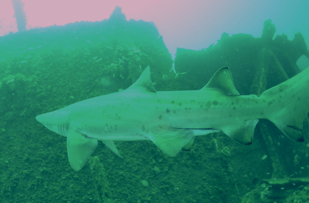 412239ed-7b91-4bf9-bab7-6761c33f6f21