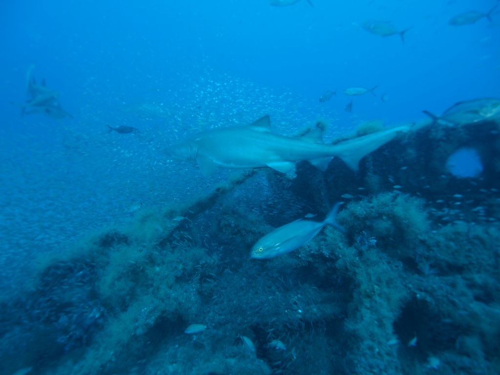 70bd7d54-2f0d-4666-8274-f9202379dee1