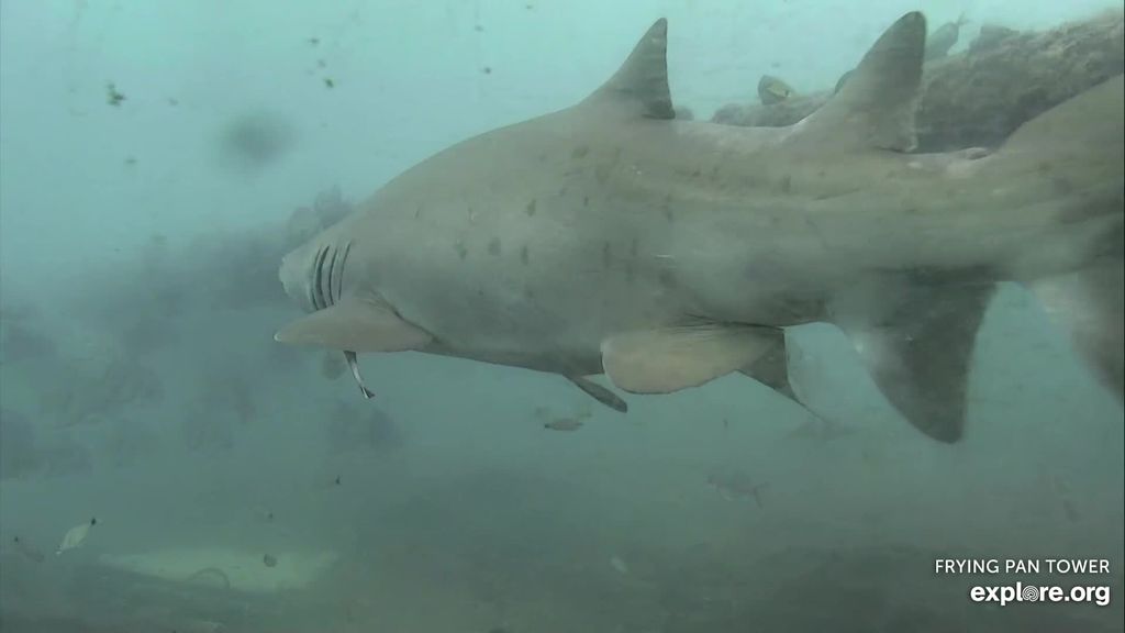 4505d97f-2818-4bc7-ac71-0e0745d06134