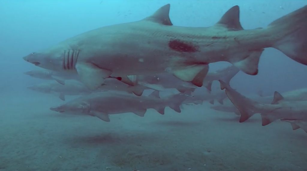 4e6a8fd8-6f7f-4b99-9028-00b495f57732