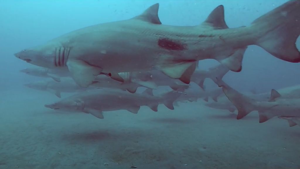 4e6a8fd8-6f7f-4b99-9028-00b495f57732