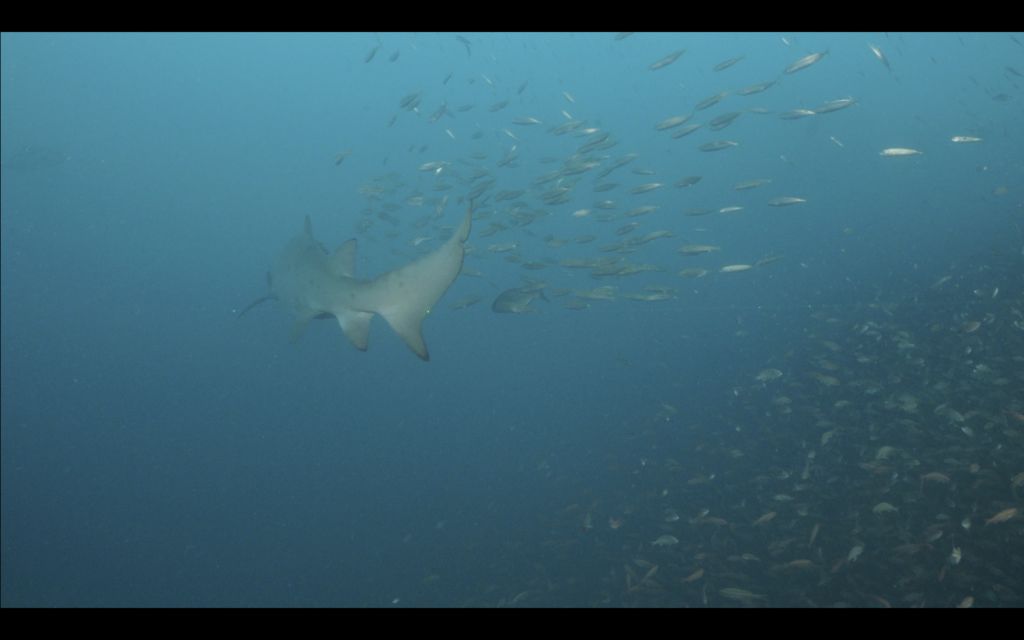 a7e9156b-dd85-44dd-a37b-5ac090d11ae8