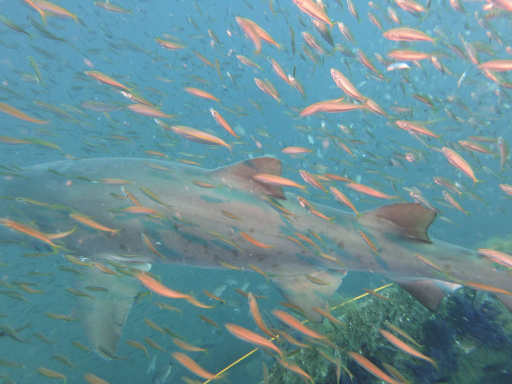 2643ce15-575b-42b7-8a3e-4082116cb0ab