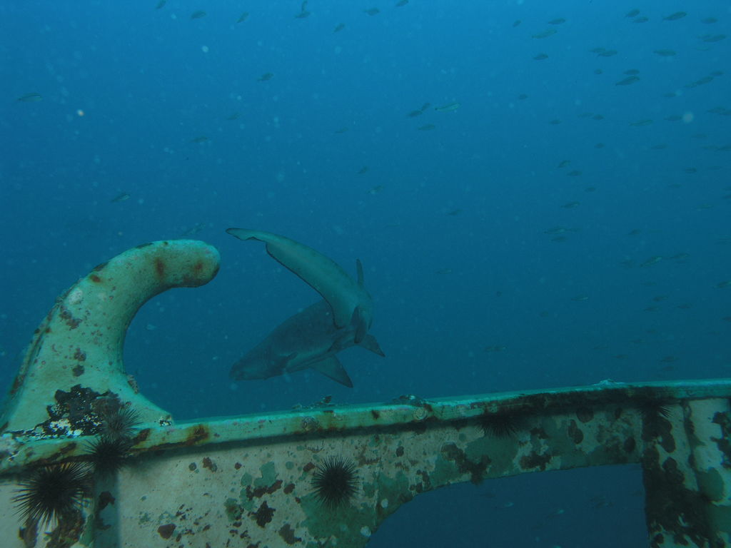 385a4be8-c855-4414-854d-8f764beeb74d