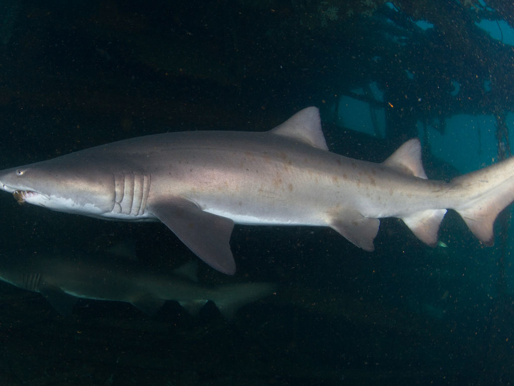 f9c53588-b613-4286-9a23-1c296c99c05b