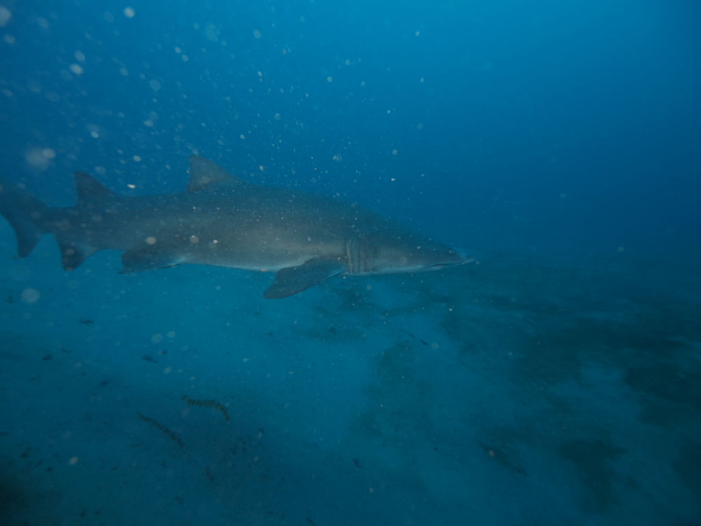 ea09a50b-f9aa-4a9b-98bf-8f4adc27afb2