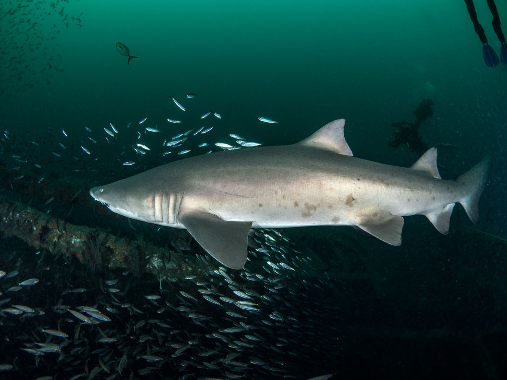 962078bd-87d5-4101-b50f-41fdc90436e5