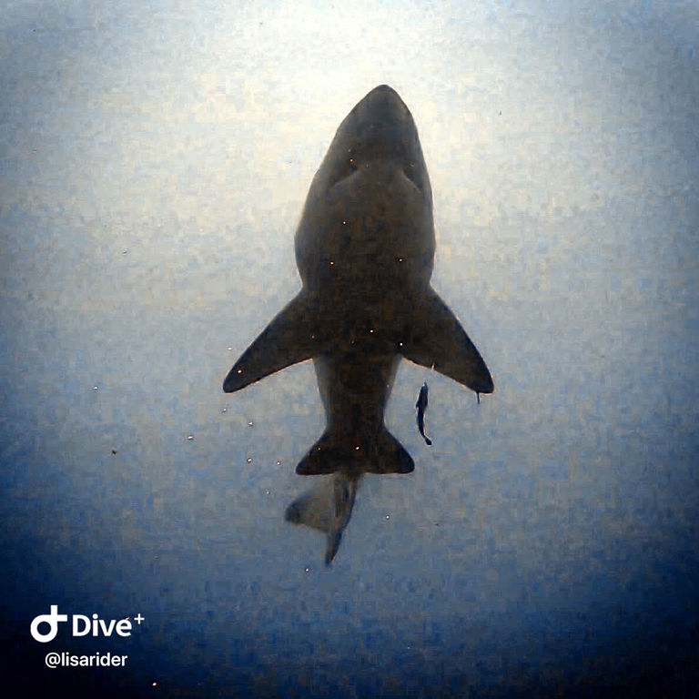 6b83c78a-e065-41ee-90e1-ac1745966a6c