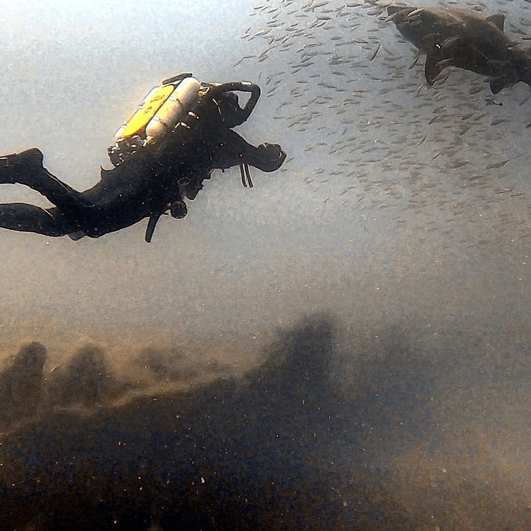 6b83c78a-e065-41ee-90e1-ac1745966a6c