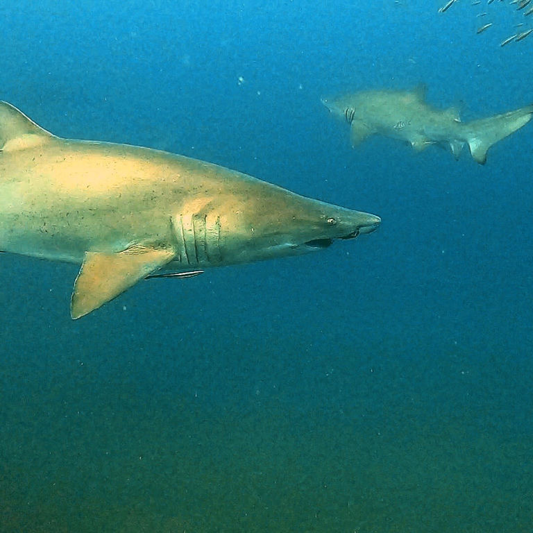 6b83c78a-e065-41ee-90e1-ac1745966a6c