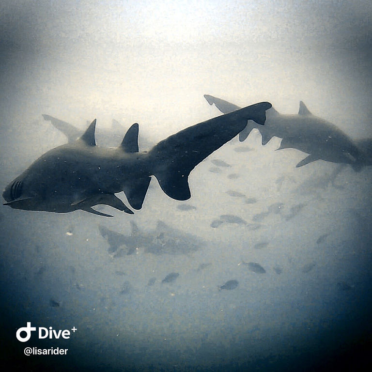 6b83c78a-e065-41ee-90e1-ac1745966a6c