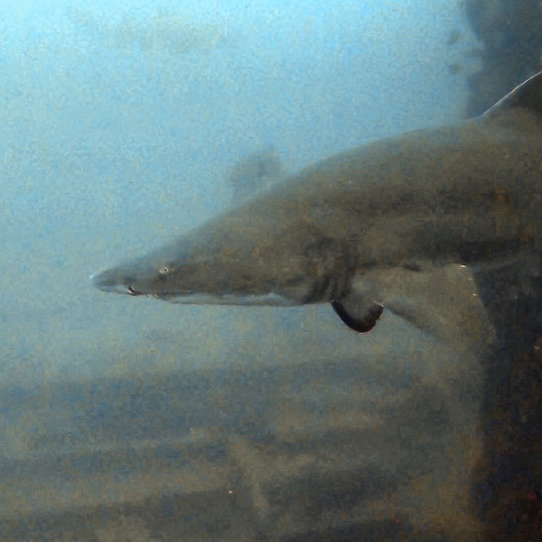 6b83c78a-e065-41ee-90e1-ac1745966a6c