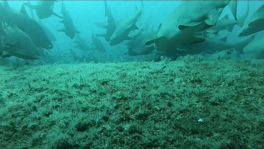 0df71228-a211-4ca8-a773-41425c489285