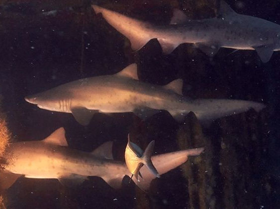 144eb05c-babf-45fa-b904-f65ca8ed55fe