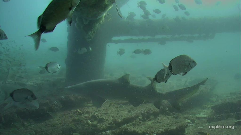 dcf19a28-87dd-4151-9866-1cdd18385264