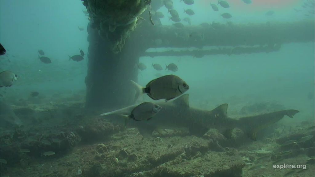 dcf19a28-87dd-4151-9866-1cdd18385264