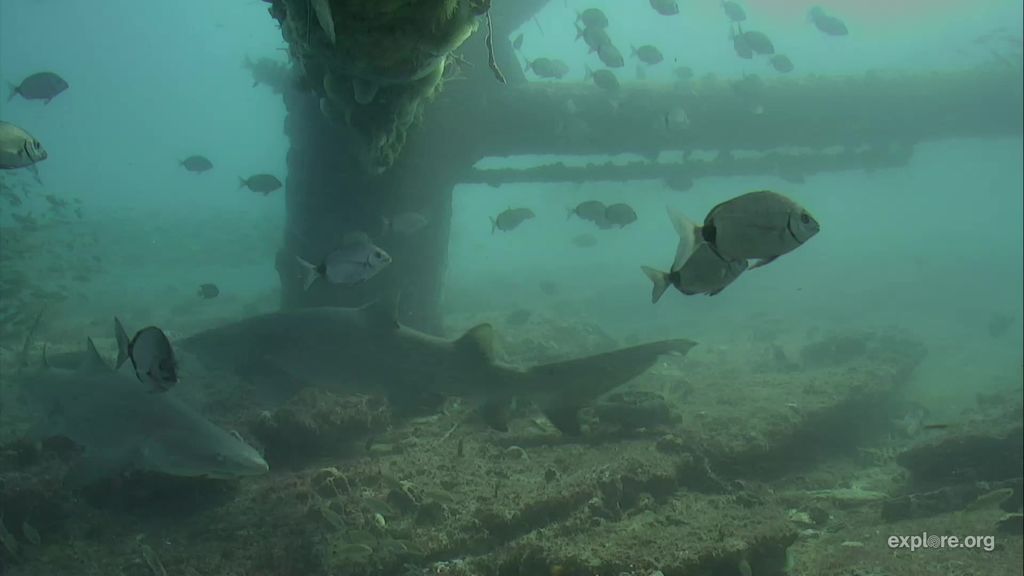 dcf19a28-87dd-4151-9866-1cdd18385264