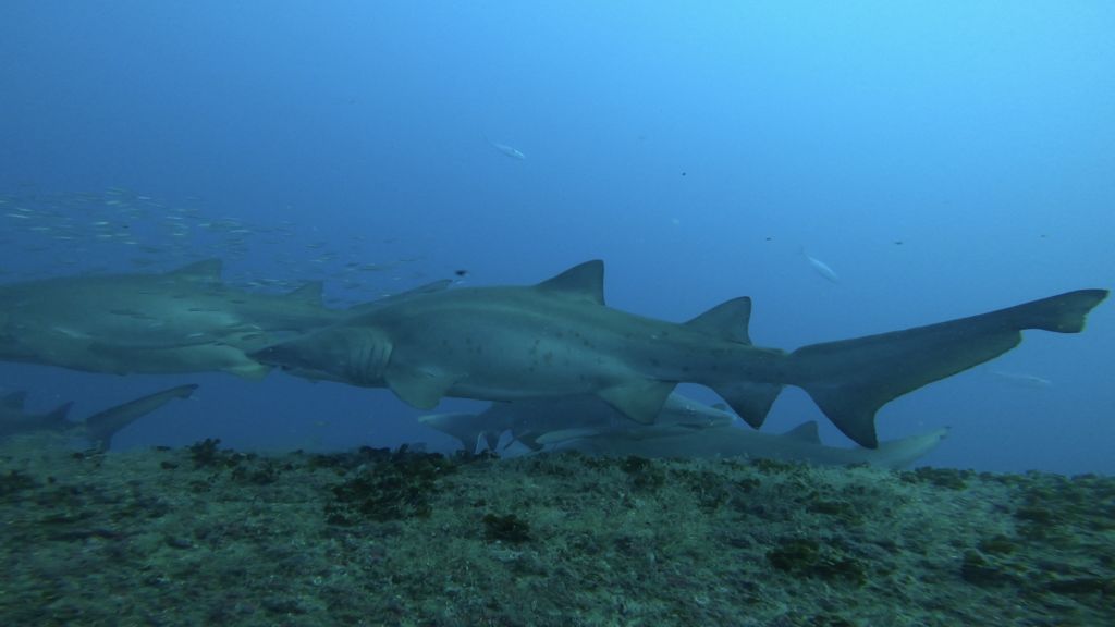 186b5b43-0c85-4f57-af4c-01109d56d6db