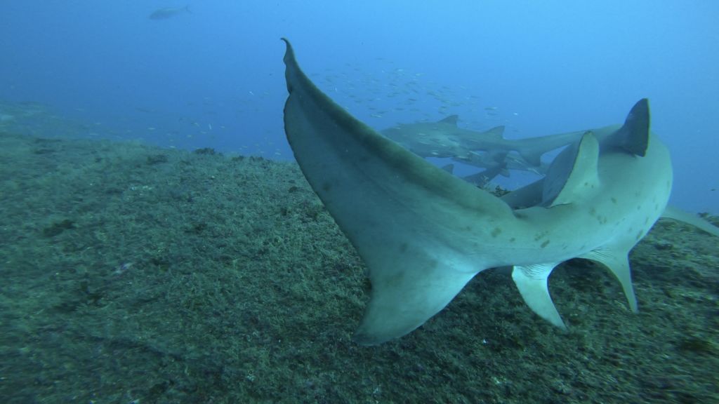 186b5b43-0c85-4f57-af4c-01109d56d6db