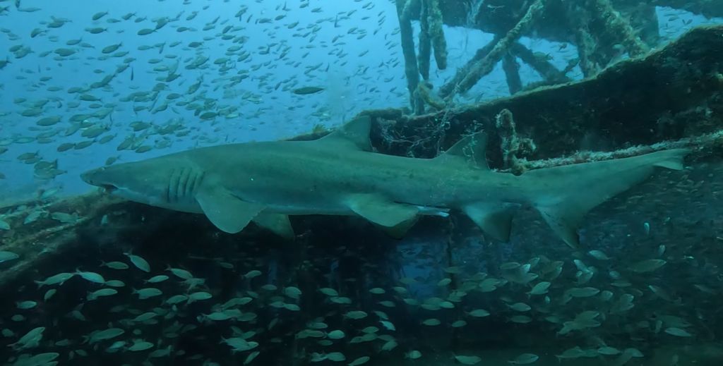 9b35c979-17eb-4b3c-97b5-4805ce5efa6b