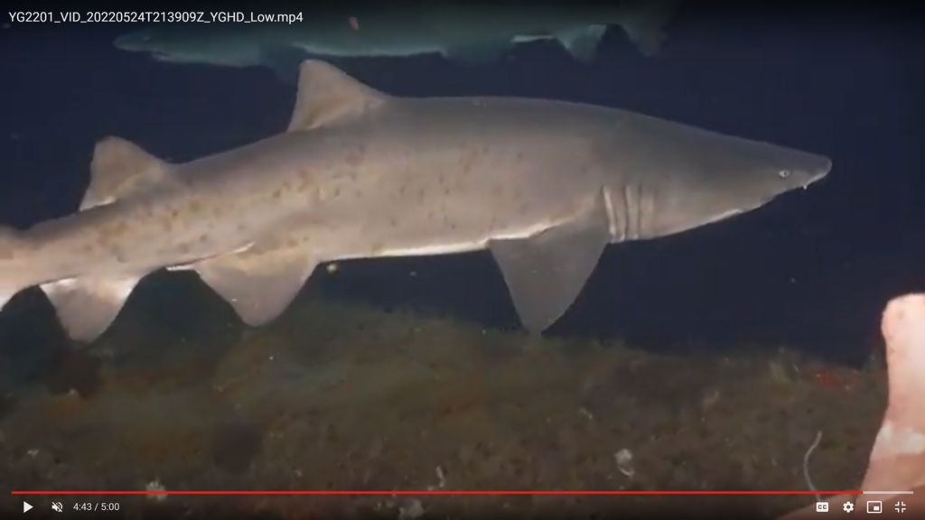 0b6b2e5b-4314-48b9-8e53-33e2a6c614e6